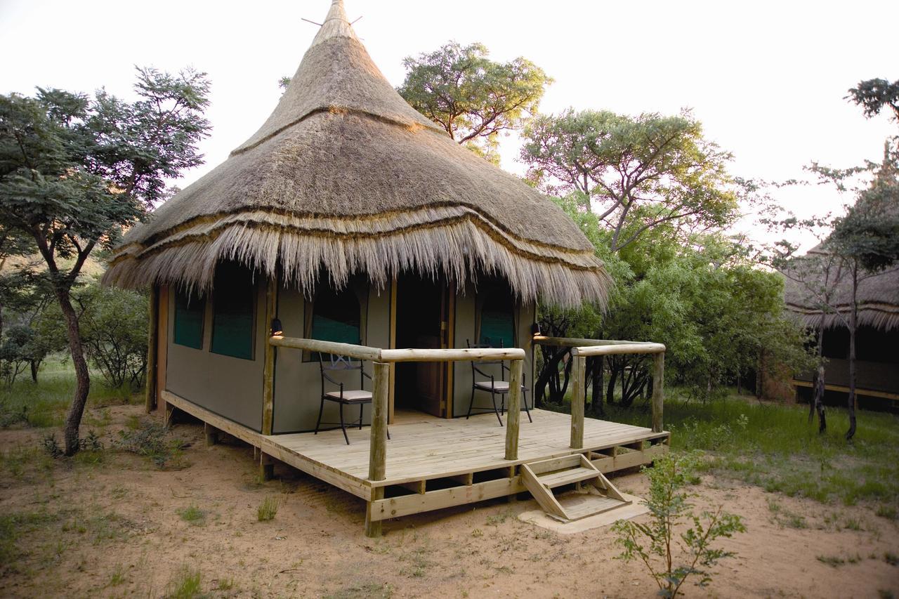 Wildside Safari Camp Vila Golders Green Quarto foto