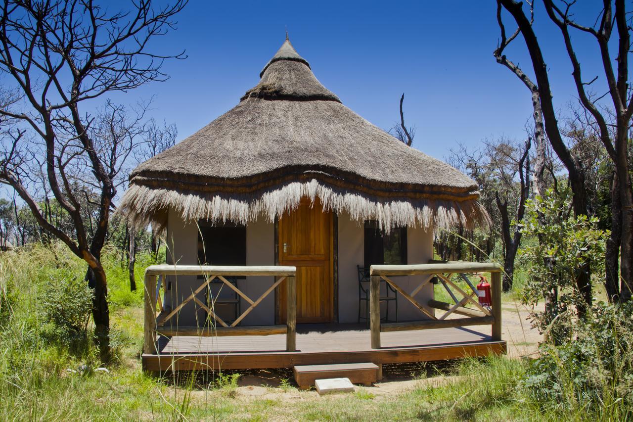 Wildside Safari Camp Vila Golders Green Exterior foto