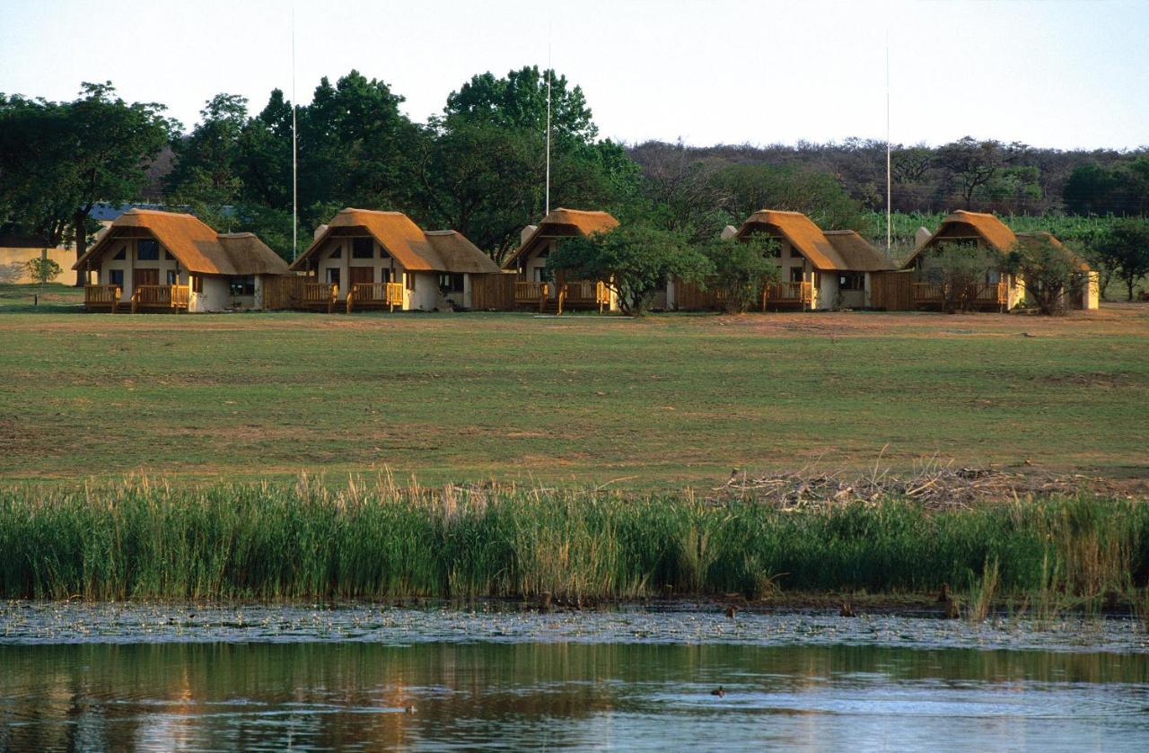 Wildside Safari Camp Vila Golders Green Exterior foto